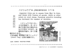 2016 年 6 月 2 日（木）読売新聞朝刊「英語歳時記」