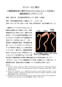 ポスター［ PDF ］