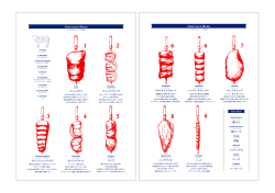 FOOD MENU DOWNLOAD - El Fuego Grill Enoshima