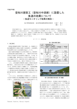 空知川頭首工（空知川中流部）に設置した 魚道の効果