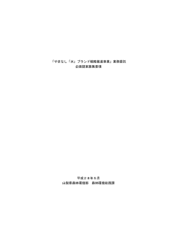 募集要項（PDF：316KB）