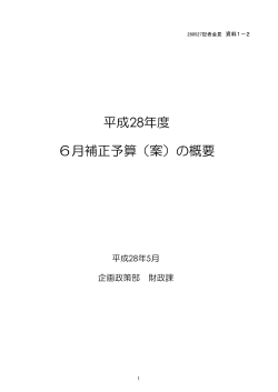 資料1-2 平成28年度6月補正予算（案）の概要 （PDF形式 264.2KB）