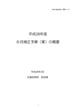 資料1-2 平成28年度6月補正予算（案）の概要 （PDF形式 264.2KB）