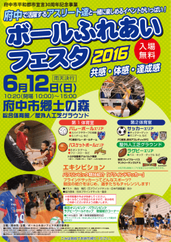 2016ボールふれあいフェスタチラシ（表面） （PDF：524KB）