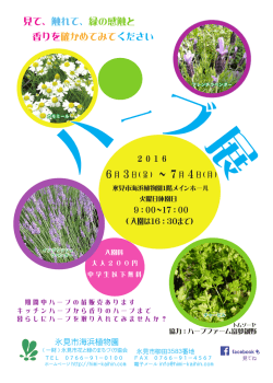 見て、触れて、緑の感触と 香りを確かめてみてください