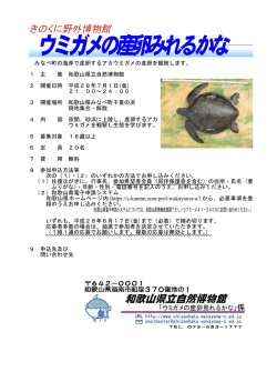 ウミガメの産卵みれるかな