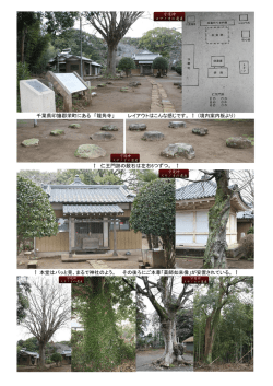 ブログ写真 千葉 龍角寺1