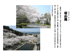 桜さ 小 路