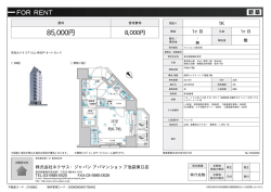 資料PDF - 株式会社ネクサス・ジャパン