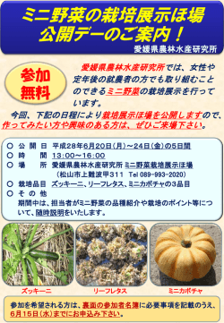 ミニ野菜公開デーのご案内【拡大】