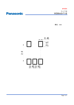 WSMini5-F1-B