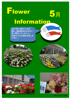Flower Information 5月