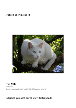 PDF: Das Ebook zur Geschichte
