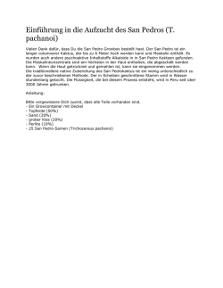 Einf&uuml;hrung in die Aufzucht des San Pedros