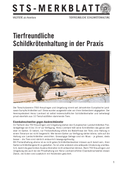Tierfreundliche Schildkrötenhaltung in der Praxis