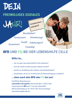 bfd und fsj bei der lebenshilfe celle freiwilliges soziales