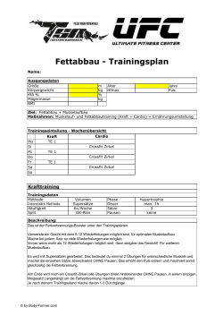 GRATIS_Trainingsplan (Fettabbau) UFC
