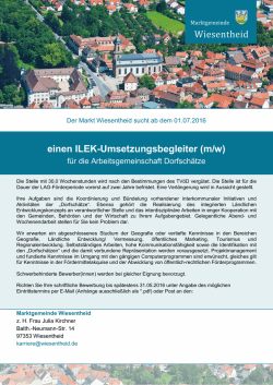 einen ILEK-Umsetzungsbegleiter (m/w)