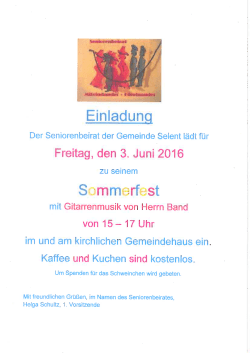 Sommerfest mit Gitarrenmusik von Herrn Band