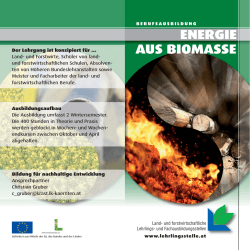 biomassefolder-ts:Layout 1 - Kompost