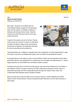 dpa Klasse 2 Bienen auf einem Fahrrad Meldung vom 29.05.2016