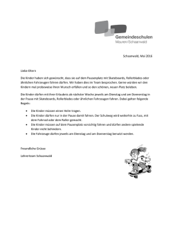 Information_Skateboards auf Pausenplatz