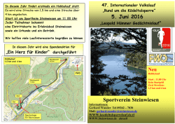 Informationsflyer Volkslauf 2016