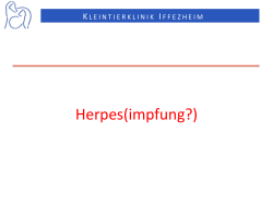 Herpes - Kleintierklinik Iffezheim