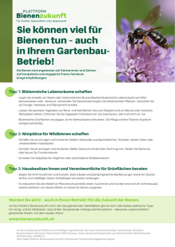 Sie können viel für Bienen tun – auch in Ihrem Gartenbau