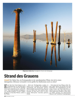 Strand des Grauens