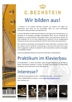 im PDF - Bechstein