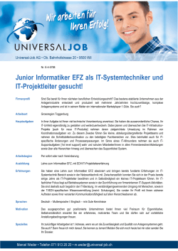 Junior Informatiker EFZ als IT-Systemtechniker und IT