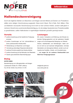 Hallendeckenreinigung