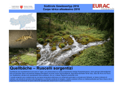 Das Poster zu "Südtirols Gewässertyp des Jahres 2016"