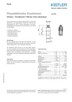 Datenblatt, Typ 6005