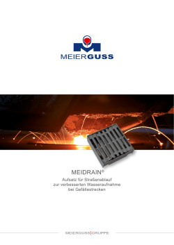 MEIDRAIN&reg; Aufsatz f&uuml;r Stra&szlig;enablauf zur verbesserten