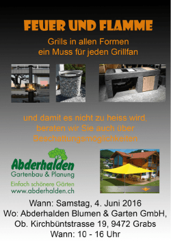 Grills in allen Formen Samstag 4. Juni 2016, 10