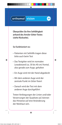Amslergitter PDF