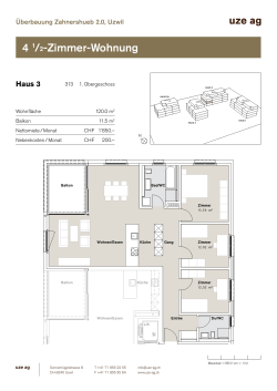 4 1/2-Zimmer-Wohnung - Überbauung Zahnershueb 2.0