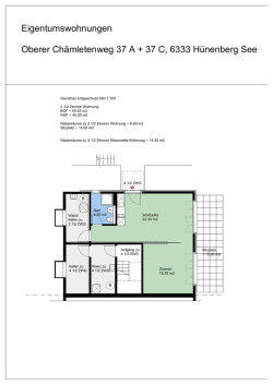 Grundriss - homegate.ch
