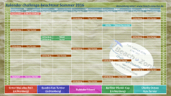 Kalender challenge-beachtour Sommer 2016 - Beach