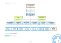 Organigramm Spital Bülach