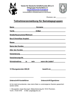 - Hundesportverein Huchenfeld