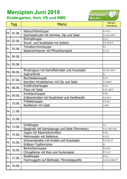 Menüplan Juni 2016