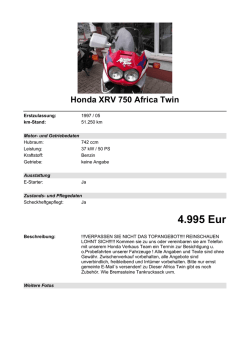 Detailansicht Honda XRV 750 Africa Twin