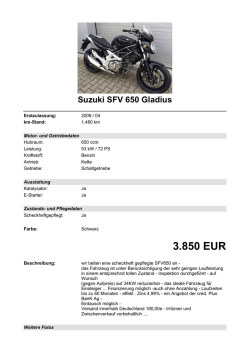 Detailansicht Suzuki SFV 650 Gladius