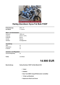 Detailansicht Harley-Davidson Dyna Fat Bob FXDF