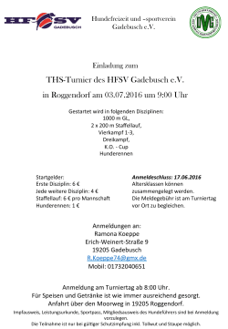Einladung zum THS-Turnier des HFSV Gadebusch e.V. in
