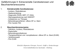 Extracranielle Carotisstenosen und Bauchaortenaneurysma