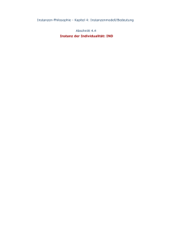 Instanzen-Philosophie - Kapitel 4: Instanzenmodell/Bedeutung